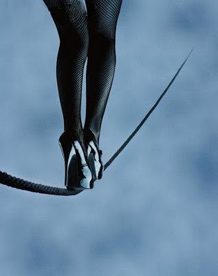 Baile en las cuerdas